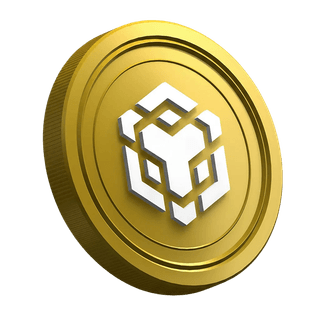 BNB-mynt från Binance på en nybörjarvänlig handledarsida